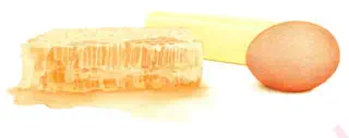 colored pencil honey, egg, and butter drawing close up